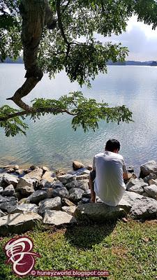 Weekends Are For Monkey Business Weekends Are For Monkey Business