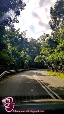 Weekends Are For Monkey Business Weekends Are For Monkey Business