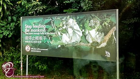 Weekends Are For Monkey Business Weekends Are For Monkey Business