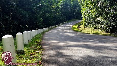 Weekends Are For Monkey Business Weekends Are For Monkey Business