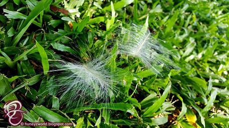 Weekends Are For Monkey Business Weekends Are For Monkey Business