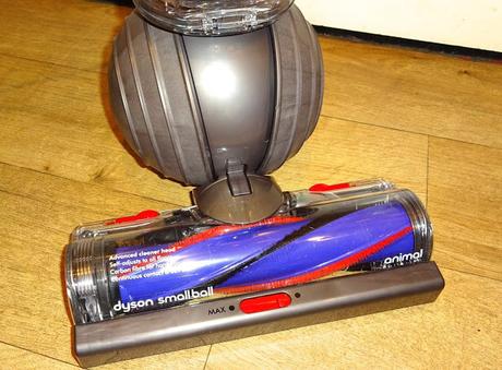 Dyson Small Ball animal review