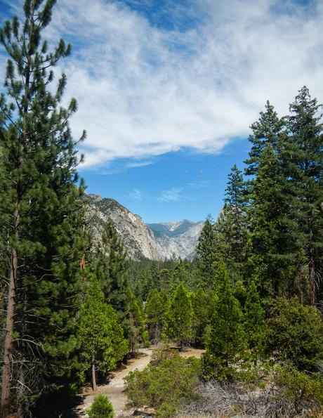 View from the Bottom -Kings Canyon National Park, California