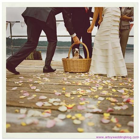 Old-fashioned Romance: Weekly Wrap-Up Wedding + Infinite Films