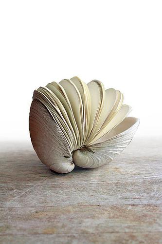 Book Shell