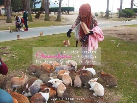 Ōkunoshima (大久野島): The Rabbit Paradise of Japan