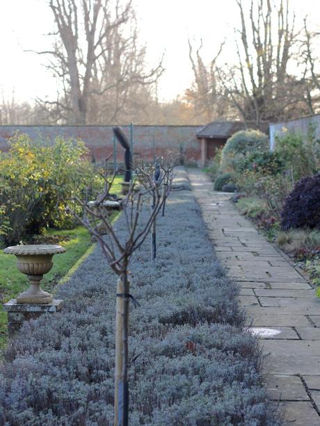 Glemham Hall Gardens In Winter