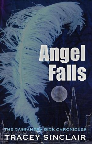 Angel Falls by Tracey Sinclair @thriftygal