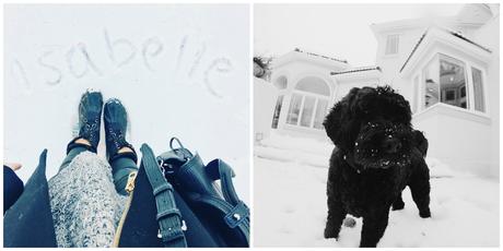 The First (Blizzard-esque) Snow blizzard2016