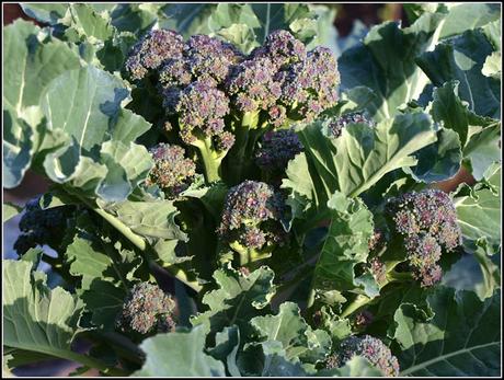 Making the most of your PSB