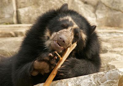 Rules of Life - Be a Lifelong Learner Rules of Life - Be a Lifelong Learner