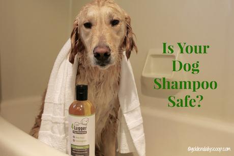 dog health, natural and organic dog shampoo, 4 Legger review and giveaway