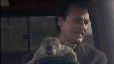 bill murray groundhog day movie laughing driving