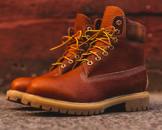 Winter, Stay Again Another Day:  Timberland 6