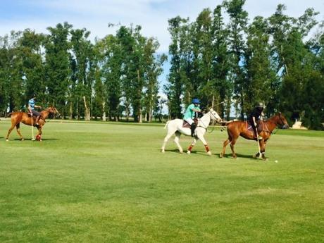The Sport of Kings in Argentina – Polo!