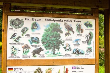 I’m Sailing Away on a Rhine River Cruise Sign on a hiking trail in the Black Forest.
