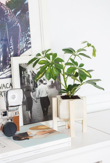 Cultivate Spring with this DIY Concrete Planter + Stand