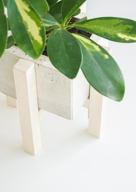 Cultivate Spring with this DIY Concrete Planter + Stand