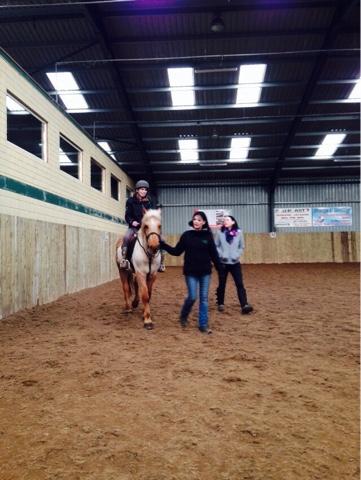 Horse therapy