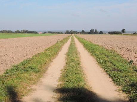 El camino que lleva a la granja