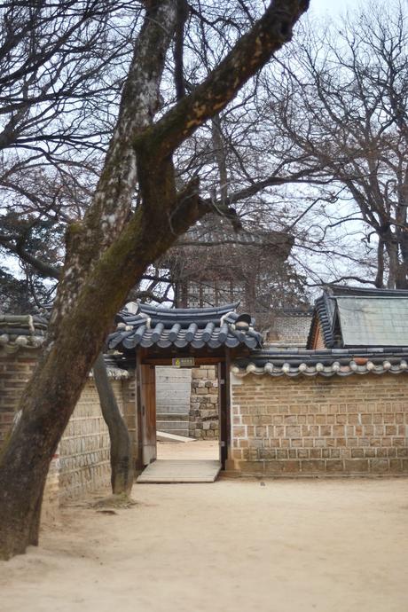 Hey Seoul sister. Hey Seoul sister.