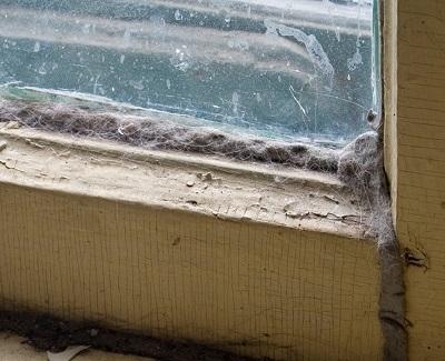 Top 5 Tell-Tale Signs of Possible Serious Window Issues serious window issues3