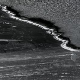 Wet black _DSC5592