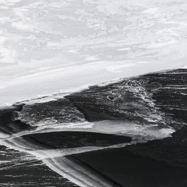 Wet black _DSC5594