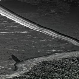 Wet black _DSC5593