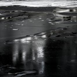 Wet black _DSC5607