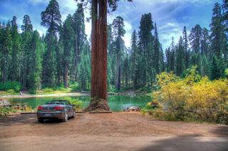 Roadtrips in US - Sequoia/Springville