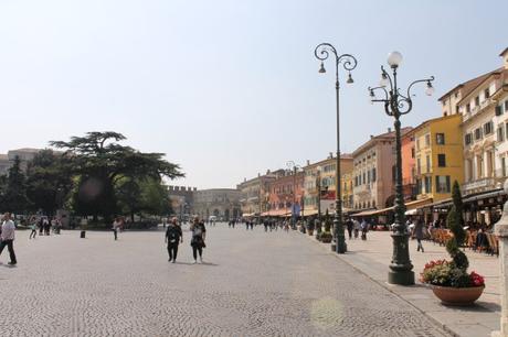 IMG_5327 IMG_5327