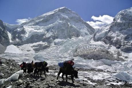 Icefall Doctors Head to Everest Base Camp in Preparation for 2016 Season Icefall Doctors Head to Everest Base Camp in Preparation for 2016 Season