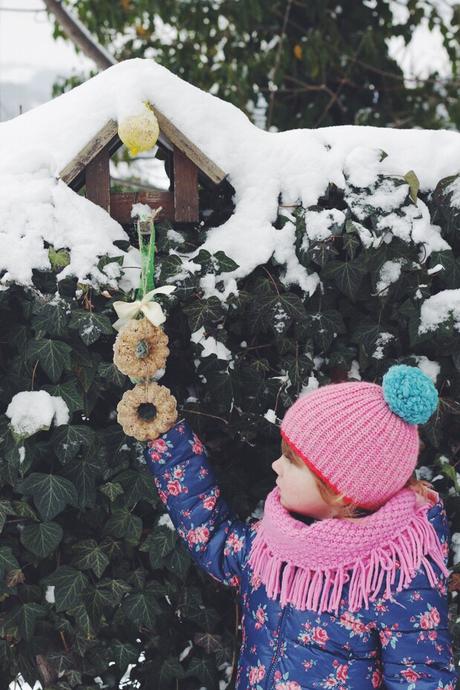 winter days and bird feeder wreaths (Mini DIY)