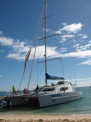 Western Australia, Part 2: Shark Bay--Dolphins, Pearls, Pelicans and More