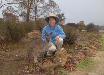 Western Australia, Part 2: Shark Bay--Dolphins, Pearls, Pelicans and More