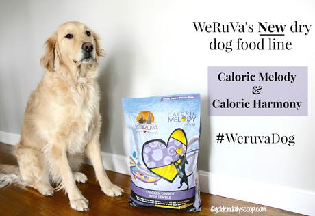 Weruva Caloric Melody Healthy dog food review