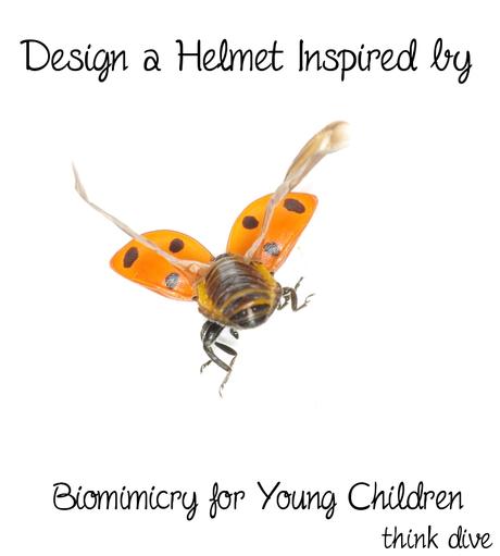 Design a Helmet Inspired by Ladybirds