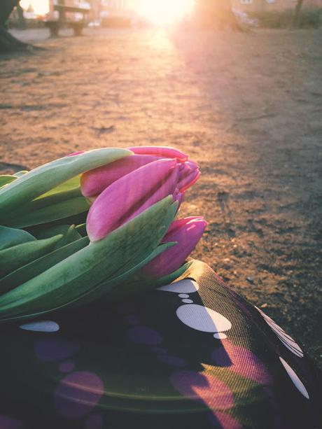 Tulips & Sunshine Tulips & Sunshine
