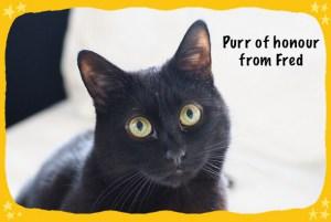 Feck It’s Heck Sausages fred purr of honour