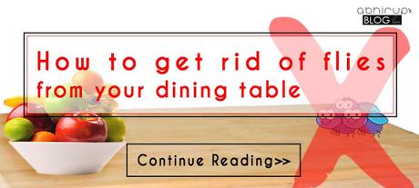 How to get rid of flies from your dining table by a home-based solution How to get rid of flies from your dining table by a home-based solution
