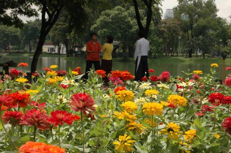 Lumpini Park is a tranquil place to exercise