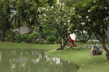Lumpini Park offers cool respite from the heat in Bangkok. Photo © Briar Jensen