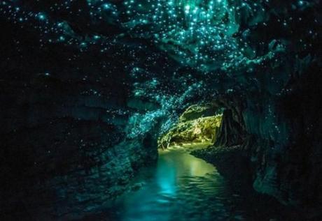 Top 10 Weird And Unusual Tourist Attractions In New Zealand Glowworm Caves