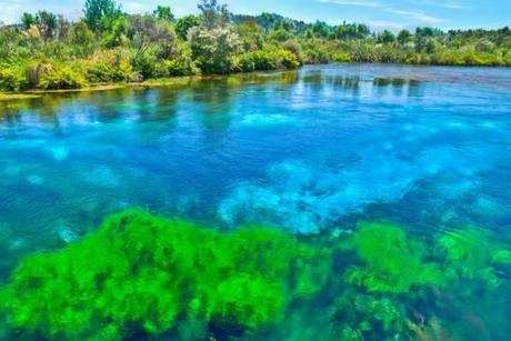 Top 10 Weird And Unusual Tourist Attractions In New Zealand Te Waikoropupū Springs