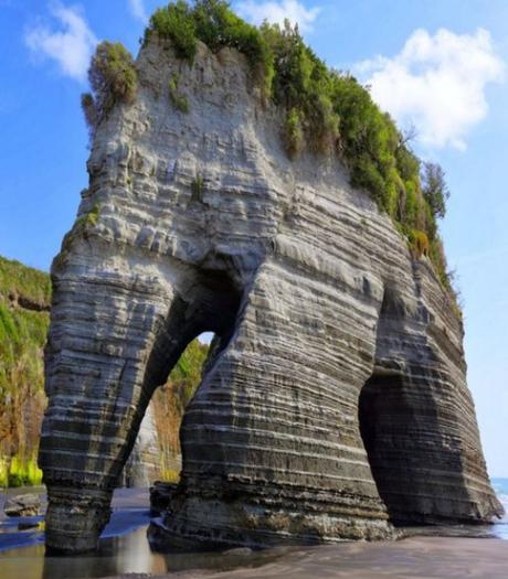 Top 10 Weird And Unusual Tourist Attractions In New Zealand Elephant Rock