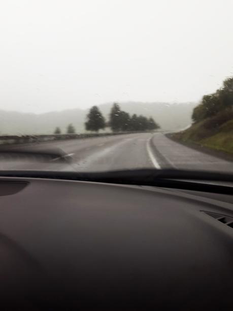 Pet-Friendly Road trip to Ashland and Medford driving back home