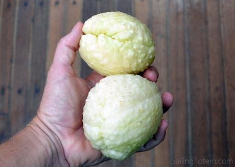 Distinctively St Helena chow chow