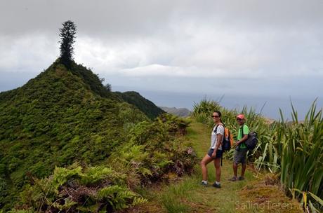 Distinctively St Helena hiking with whatthesaintsdidnext dianas peak