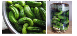 Picture 22 Pickle me Green! from a carton of milk